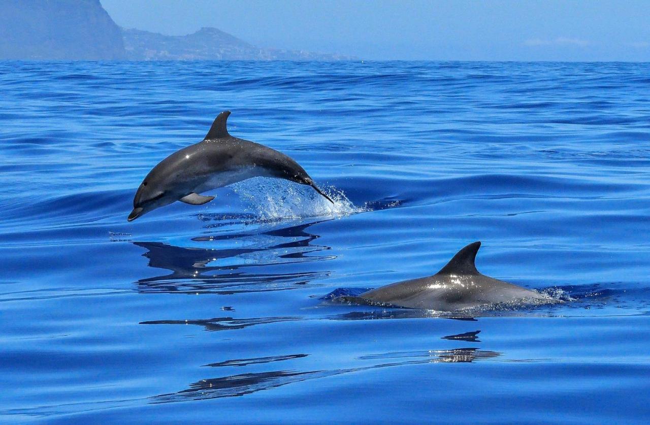 Apartamento Incleibles Vistas Al Oceano Y Piscina. アカンティラド・デ・ロス・ヒガンテス エクステリア 写真